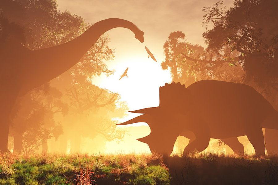 Dinosaurs