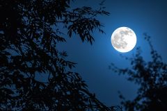Full Moon