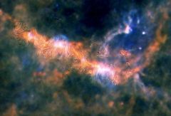 Galactic bone
