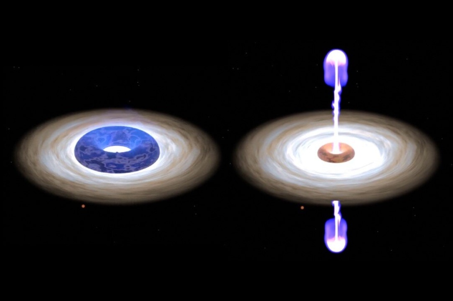 Black holes