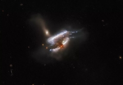 IC 2431