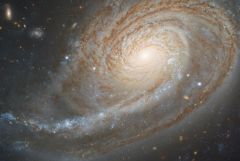 NGC 772