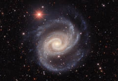 NGC 1566