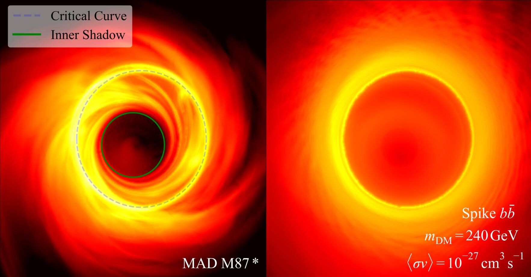 EHT black hole