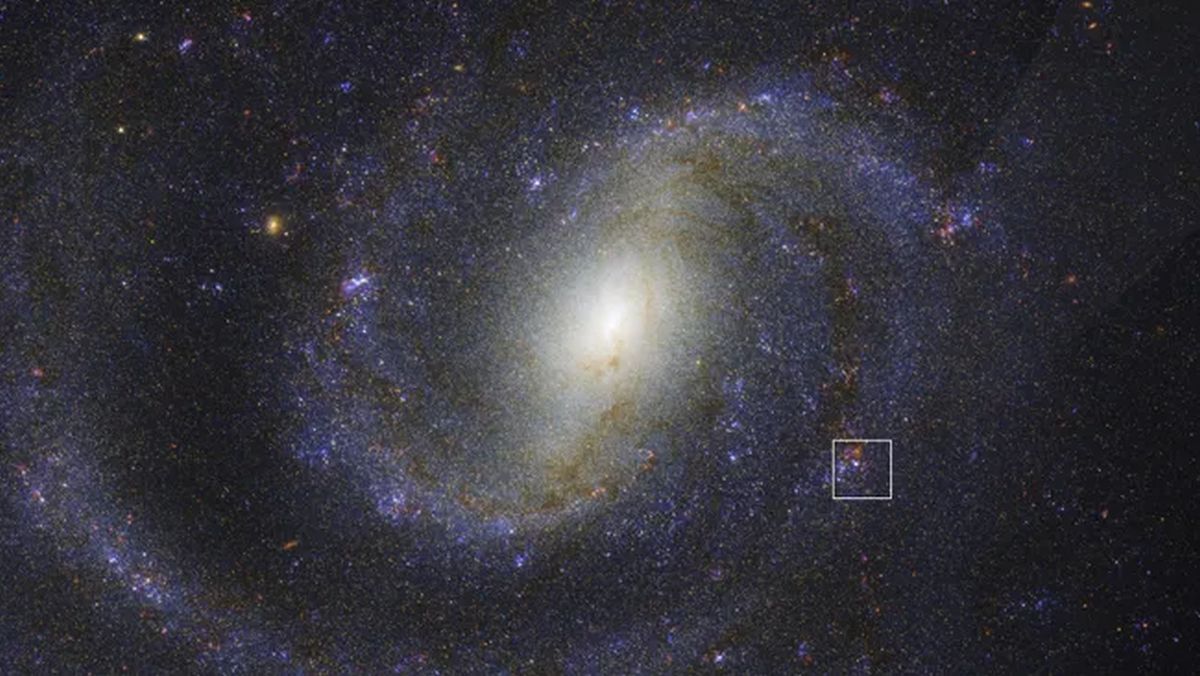 NGC 1637
