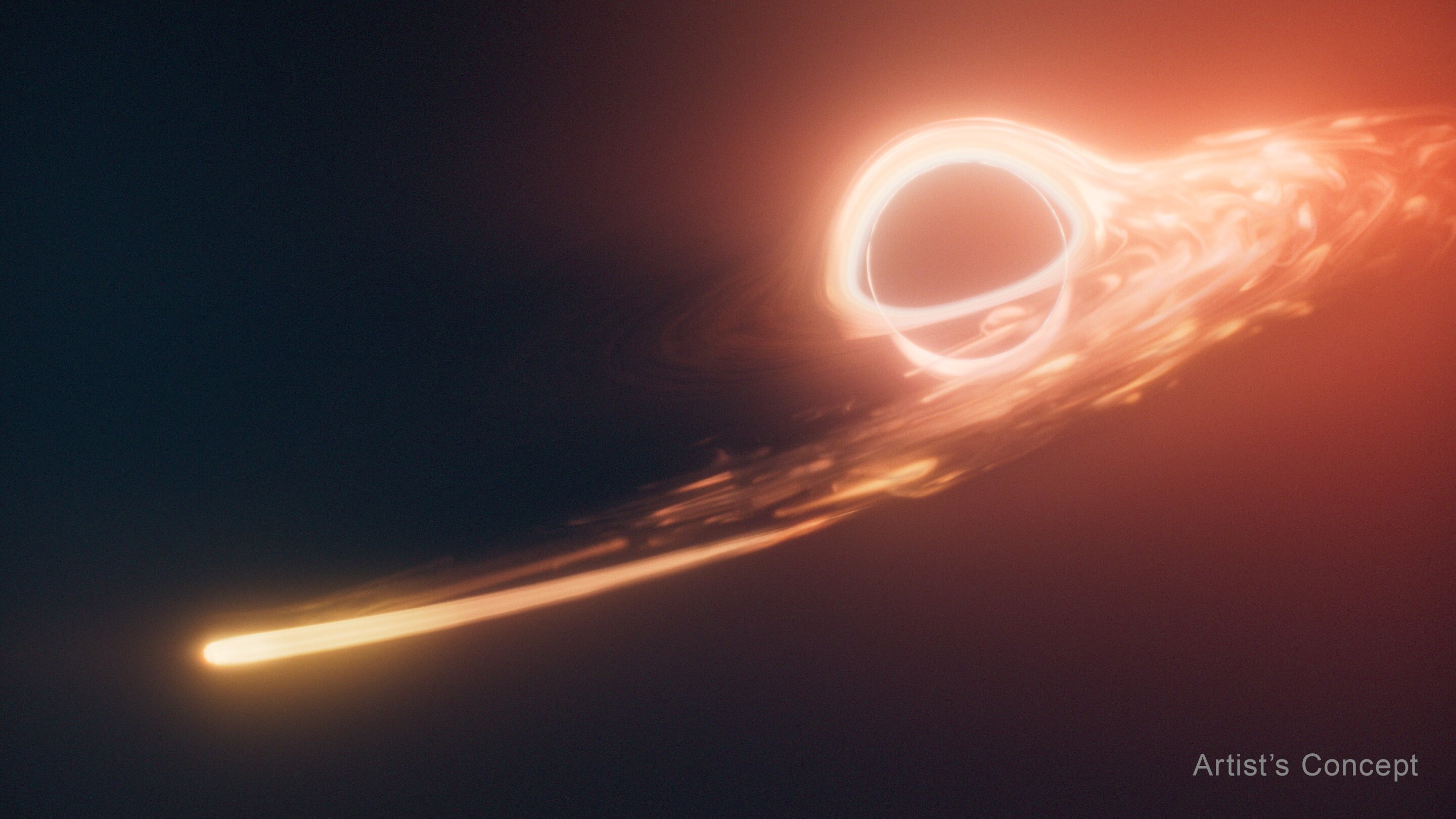 Black hole shreds a star