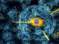 Elementary particles